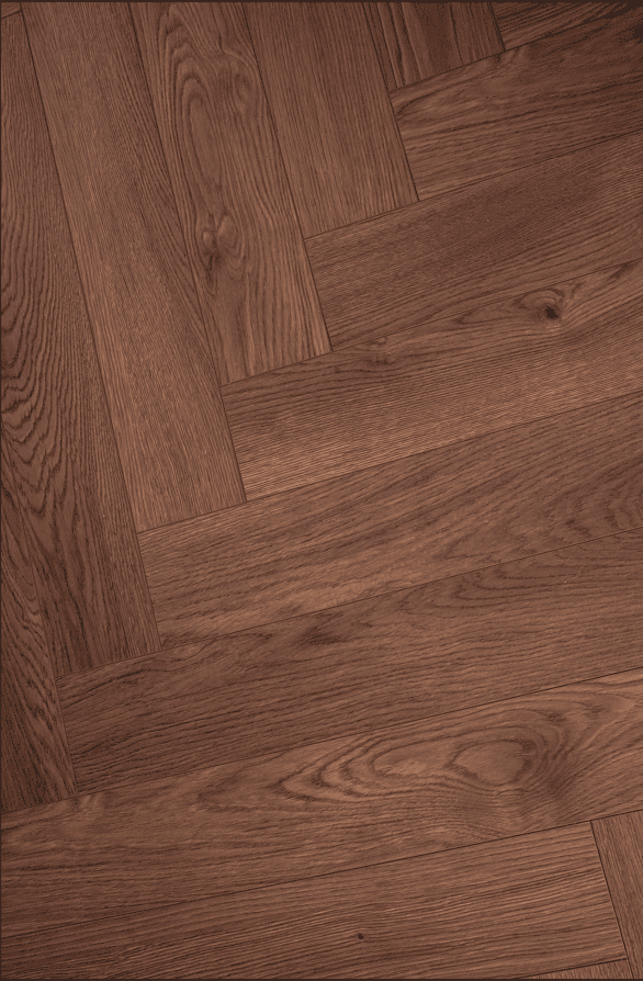 708 Дуб Робусто